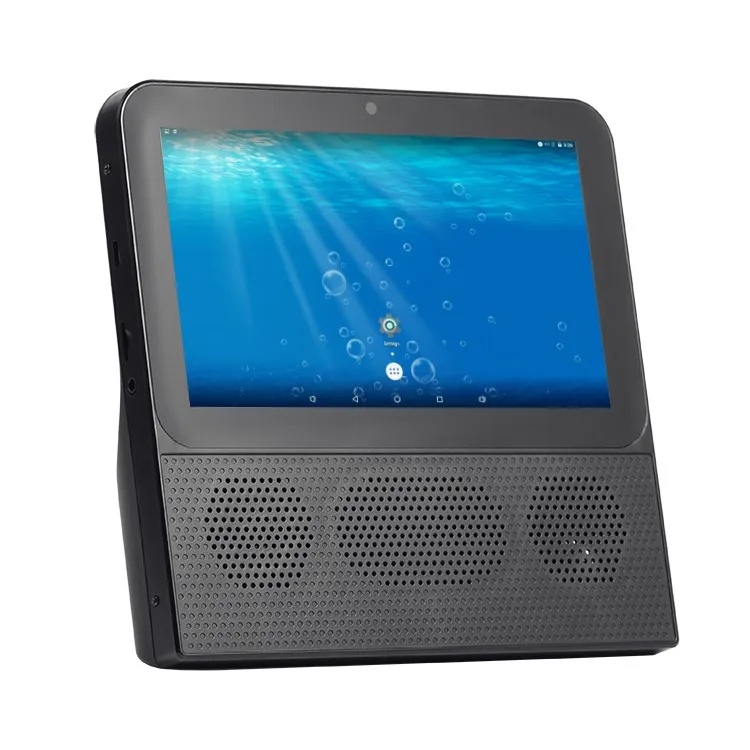 Portable Mini Sspeaker With FM Radio and Handsfree Speaker Tablet - ANKUX.COM