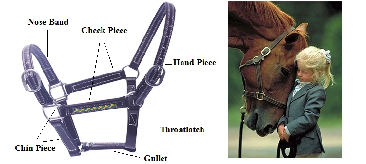 horse hatler detail.jpg