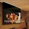 Factory low price 200 inch matte white motorized projector screen