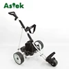 /product-detail/12v-dc-remote-control-electric-motor-golf-buggy-with-water-proof-controller-design-62182995047.html