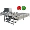 /product-detail/export-good-quality-brush-fruit-industrial-vegetable-washing-machine-62195278295.html