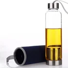 Borosilicate Glass Water Bottle With Rope And Tea Filter And Nylon Protective Bag Design
