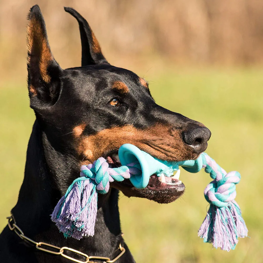 rubber horn dog chew toy with 100% cotton rope teeth cleaning