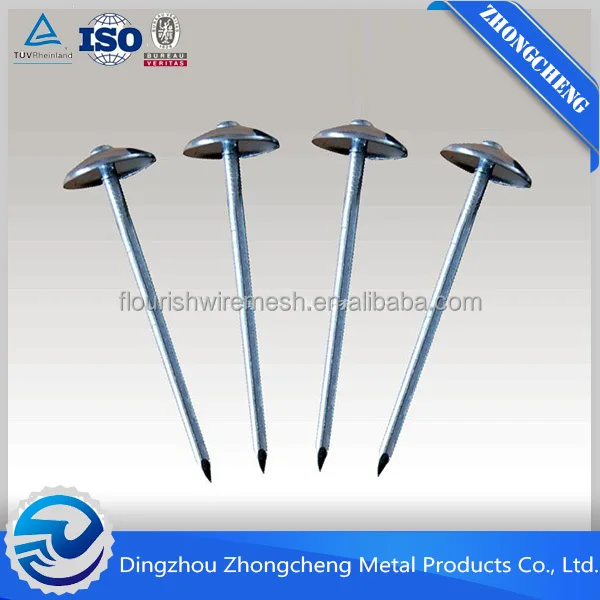 Galvanized Roofing Nail / Roofing Nails / Corrugated Roofing Nails