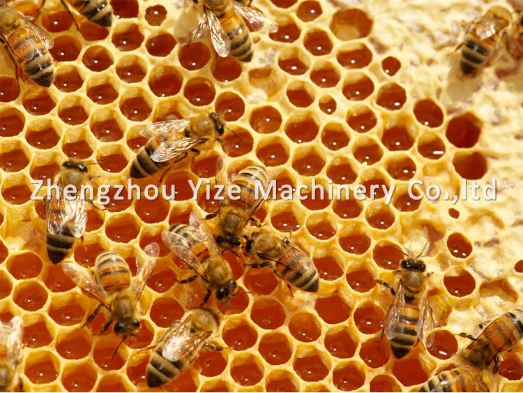 Professional beekeeping Beehive for sale / flow hive beehive / beehive machine