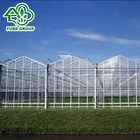 China made Venlo Glass Steel Pipe Greenhouse