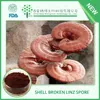 /product-detail/china-supplier-pure-fine-qualified-mushroom-extract-reishi-mushroom-shell-broken-lingzhi-spore-60629914622.html