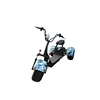 New Best price electric scooter citycoco/3 fat wheel electric motorcycle scooter