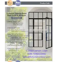 Steel Windows And Doors With Building