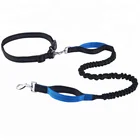 China Pet Suppliers Tangle Free Elastic Reflective Hands Free Bungee Multi Functions Dog Leash