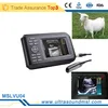 /product-detail/mslvu04-farm-portable-veterinary-ultrasound-for-sheep-goat-horse-dog-vet-ultrasound-scanner-60321714030.html