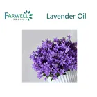 Farwell skin care 100% Natural Lavender Oil