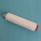 Absolute Hydrophobic PTFE membrane filter cartridge/filter element