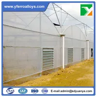Agricultural Multi Span Plastic Green House