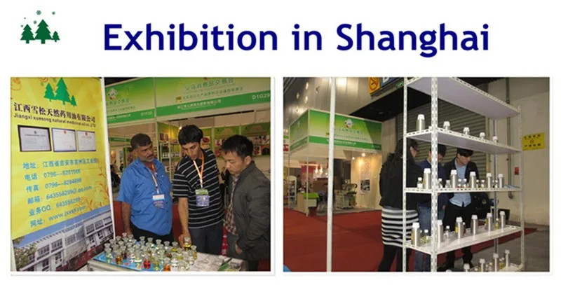 exhibition in shanghai .jpg