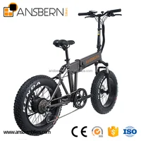 20 Inch 500W 36V 10 4AH