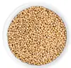 Wholesale Raw herb India Mustard Seed Sinapis alba L