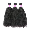 Virgin All Types of Brazilian Hair Weavons, Brazilian Curly Hair Extension for Black Women