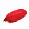 High quality size 45-50cm dyed colors and white ostrich feather For Carnival Costumes