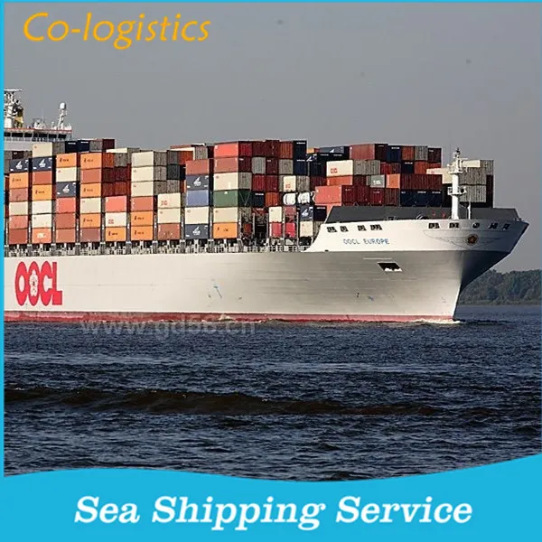 china sea freight forwarder logistic agent to christchurch