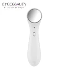 Handheld Ionic Galvanic Ion Import Beauty Facial Massager