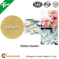 Gelatine As Food Ingredients Edible Gelatin