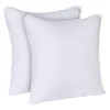 /product-detail/e132-vacuum-packaged-bedding-decorative-pillow-inserts-square-sofa-bed-indoor-white-wholesale-pillow-inserts-60830781332.html