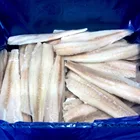 HACCP Fillets Fish New Season Good Quality Frozen Alask Pollock APO Fillets Interleaved