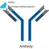 Mouse anti CRP Monoclonal Antibody