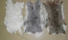 Factory wholesale Natural Rex Rabbit Fur Skin raw fur for Garment