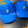brazil army cap/new straw hats baseball caps/ brazilian world cup fans hat army hat