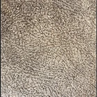 laminated new design printing burn out vlelvet fabric