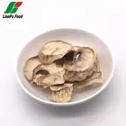 Dehydrated dried oyster mushroom slices