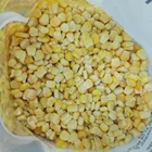 IQF Frozen Sweet Corn Yellow Corn Kernels