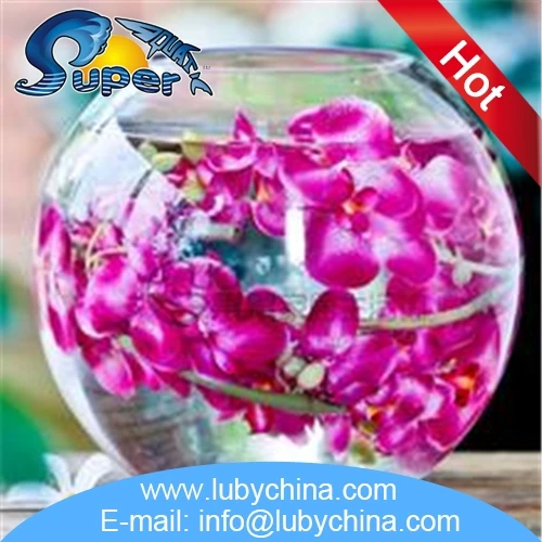 Fashionable round fish tank with CE certificate