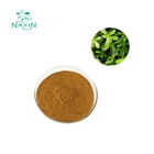 GMP Factory Supply Herb Organic Brahmi Extract Powder