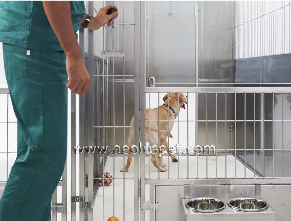 Customized Professional Walkin Kennel Multiple Outdoor Large Dog Crate