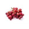 Good price nutrition export organic wine grapes
