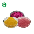 High Quality Freeze Dried Fruit Juice Powder Bulk Wholesale Freeze Dried Fruit Powder