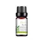 Ready to ship Tea Tree Essential Oil 10ml Aromatherapy for Acne, Lice Treatment