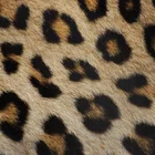 55x110cm High Quality Rabbit Fur Pelt Plate in Dyed Leopard Color for Home Throw Rug Garment Use