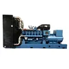 /product-detail/diesel-fuel-economic-5-mw-diesel-generator-for-emergency-60687932302.html