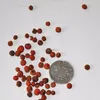 Huo ji zhong zi Manufacturer produce Lespedeza bicolor seed