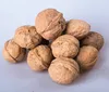 Big Size Walnut for export from China