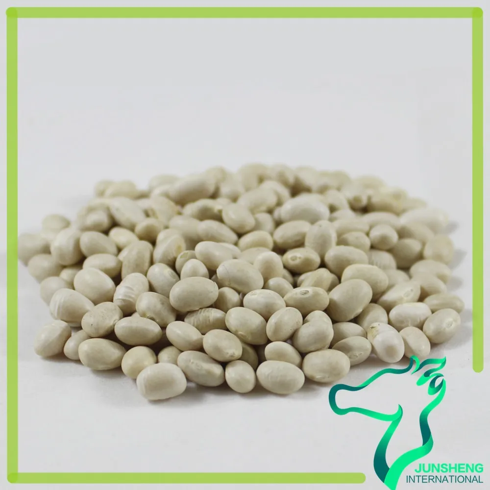 Bulk Navy White Beans For Sale Buy Bulk Navy White Beans,Navy White