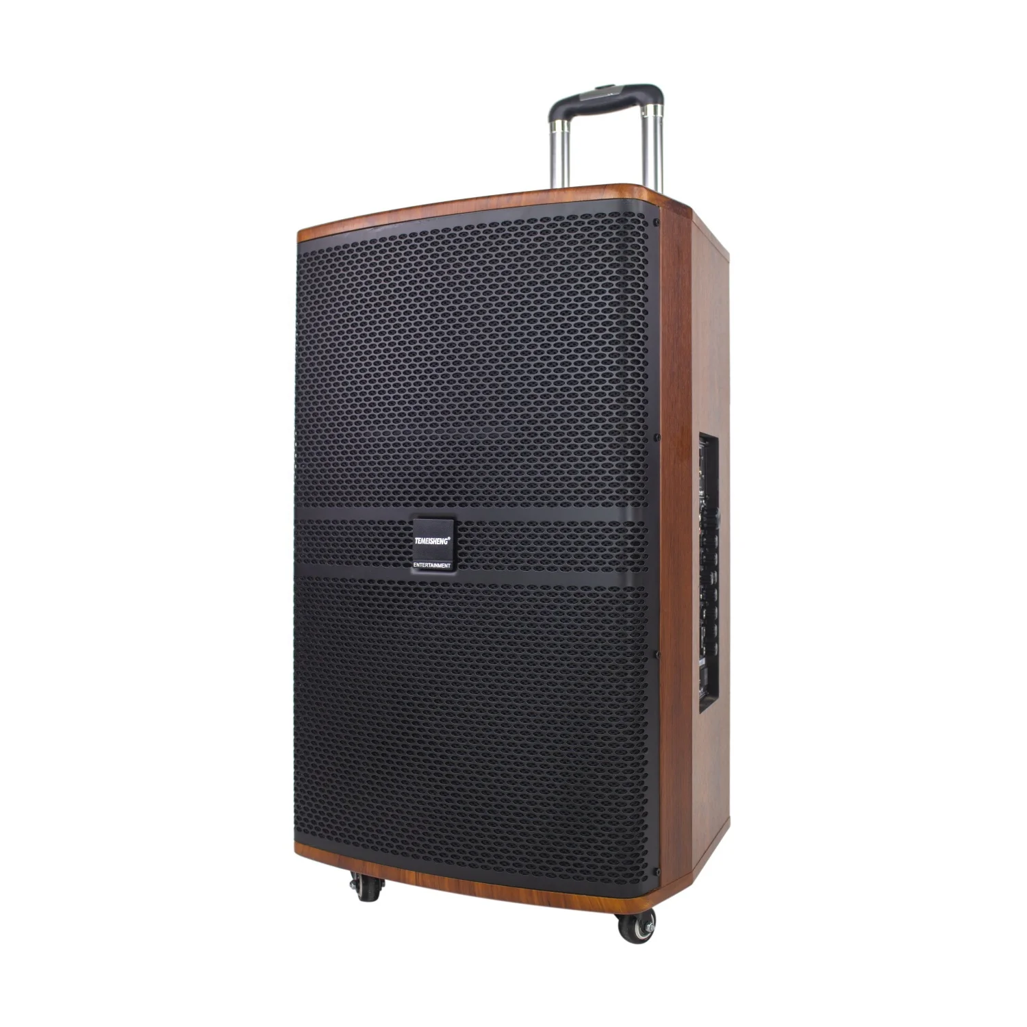 2019 Customized Newest PA Karaoke Parlante Bluetooth Professional Vogue Instrumental Speaker - ANKUX.COM
