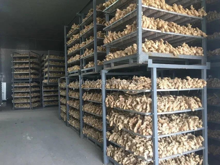 fresh ginger