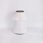 Hot sale h2s gas turbine filter cartridge p191521