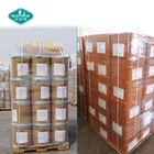 OEM Borage Oil 500mg 1000mg GLA Softgel Omega 3 6 9 Softgel Capsules