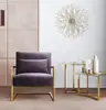 Living Room Leisure Stainless Steel Shiny Gold Elle Grey Velvet Sofa Arm Chair